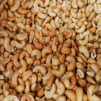 Cashew Nut Plain Light Roasted – Nuts Dubai – Premium Quality Best Prices