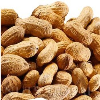 Peanuts Jumbo Roasted With Shell On