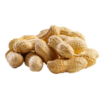 Peanut Plain with Shell on - Large Size