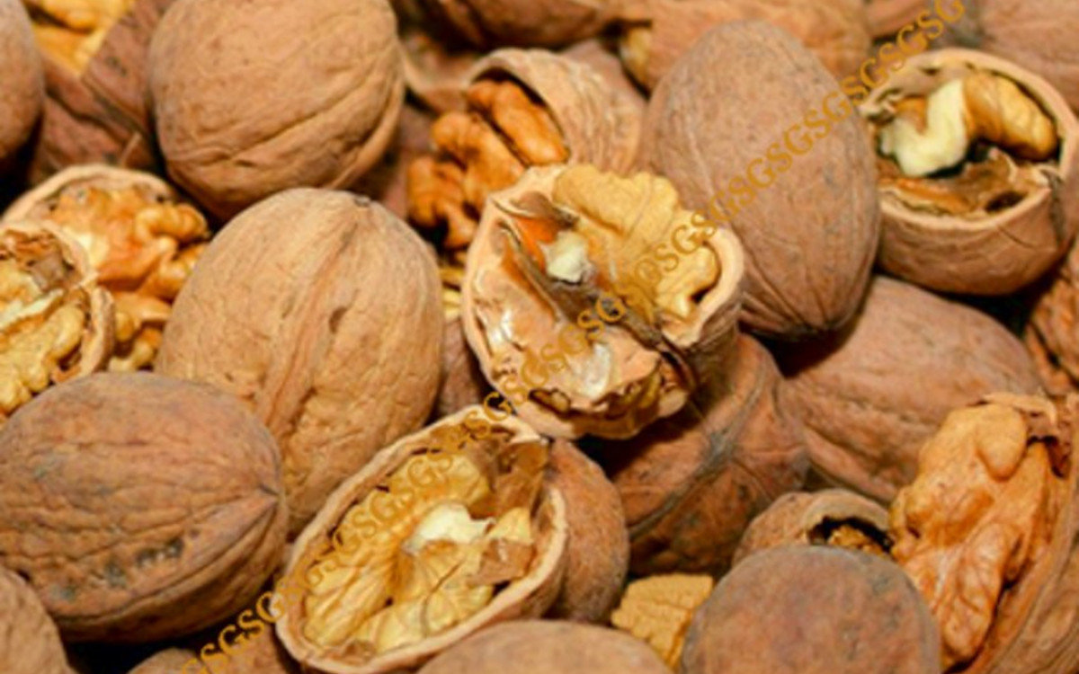 Walnuts In Shell