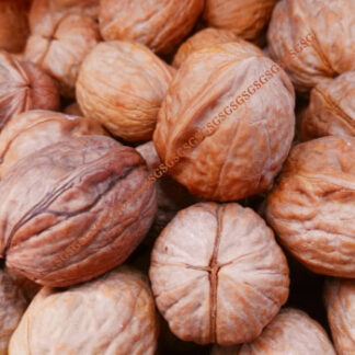 Walnuts with Shell