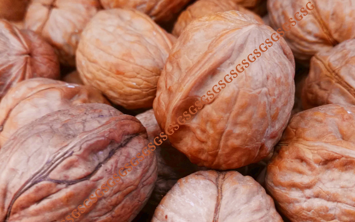 Walnuts with Shell