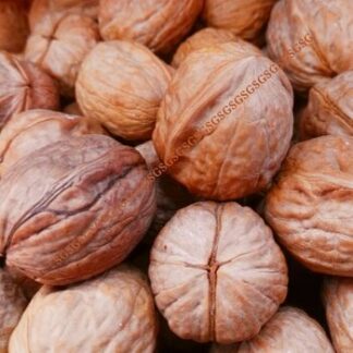 Walnuts Whole with Shell